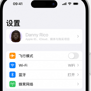 屯城镇appleID维修服务iPhone设置中Apple ID显示为灰色无法使用