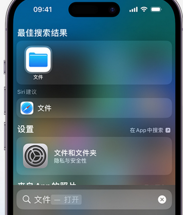 屯城镇apple维修中心分享iPhone文件应用中存储和找到下载文件 