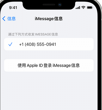 屯城镇apple维修iPhone上无法正常发送iMessage信息 