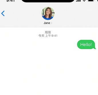 屯城镇apple维修iPhone上无法正常发送iMessage信息