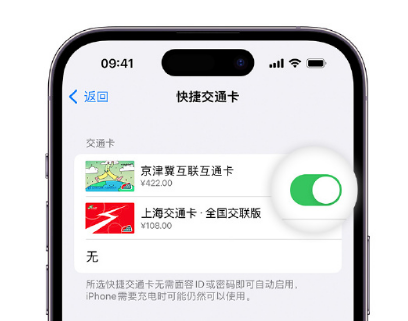 屯城镇apple维修点分享iPhone上更换Apple Pay快捷交通卡手绘卡面 