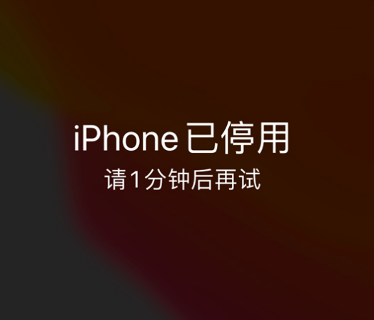 屯城镇苹果手机维修分享:iPhone 显示“不可用”或“已停用”怎么办？还能保留数据吗？ 