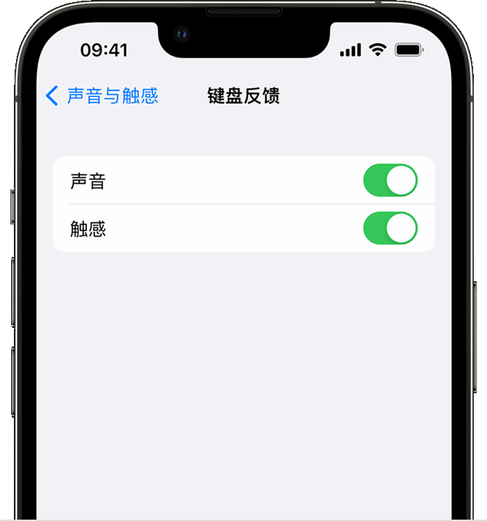 屯城镇苹果14维修店分享如何在 iPhone 14 机型中使用触感键盘 