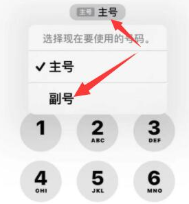 屯城镇苹果14维修店分享iPhone 14 Pro Max使用副卡打电话的方法 