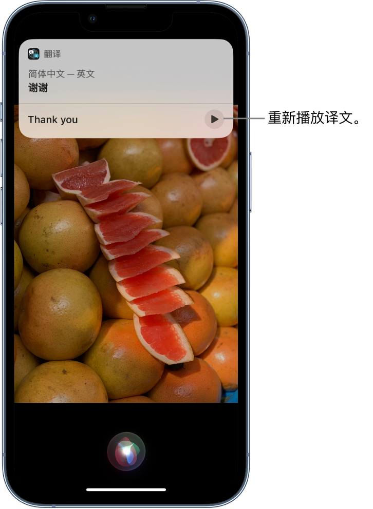 屯城镇苹果14维修分享 iPhone 14 机型中使用 Siri：了解 Siri 能帮你做什么 