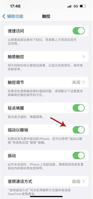 屯城镇苹果手机维修分享iPhone手机如何设置摇一摇删除文字 